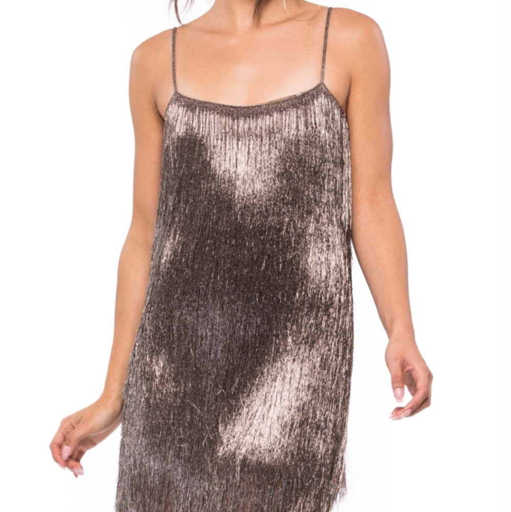 Rachel Zoe Della Metallic Fringe Mini Dress XS